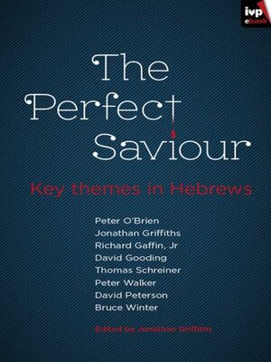 cover image of The Perfect Saviour